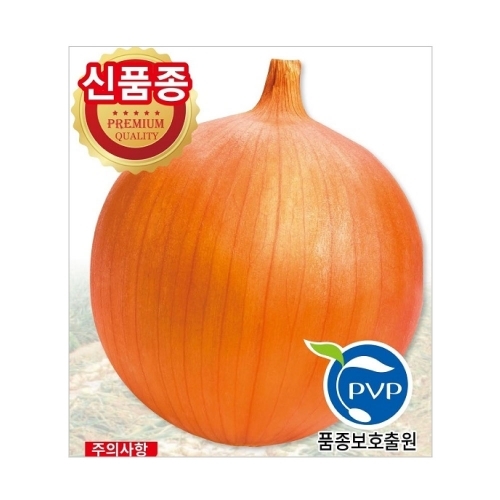 (아시아종묘/양파종자씨앗) 오래오 (100g)