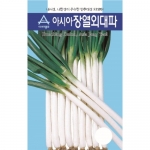 (아시아종묘/파종자씨앗) 아시아 장열외대파(80g,400g)