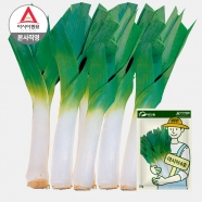 아시아종묘 씨앗 종자 리이크 아시아4호 10g