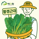 (아시아종묘/근대종자씨앗) 황경근대(5g,250g) 황근대