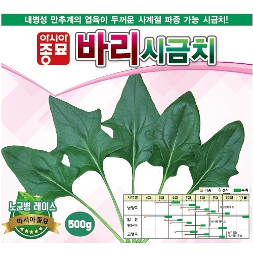 (아시아종묘/시금치종자씨앗) 바리시금치 (500g) 교배종