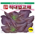 아시아종묘 겨자종자씨앗 적겨자 적대엽고채(10g,120g) 전문농가용