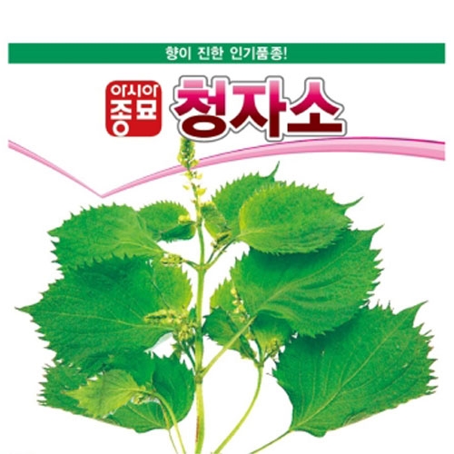 아시아종묘 쌈종자씨앗 청자소(3g,100g) 깻잎