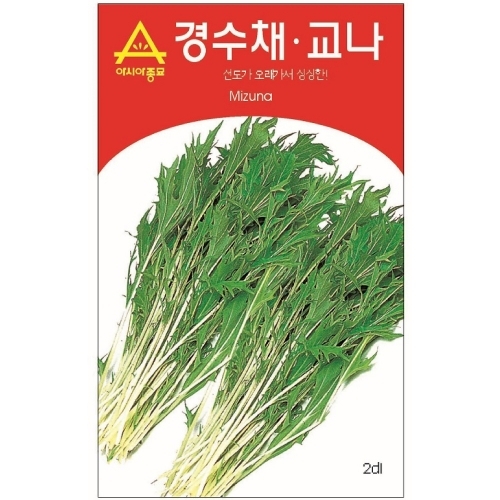(아시아종묘/어린잎채소씨앗) 경수채.교나(600g) 일본산