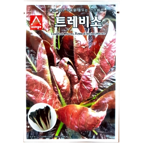 아시아종묘 치커리종자씨앗 트레비소(치콘)(1500립)