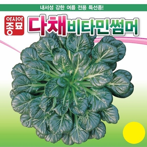 (다채씨앗종자) 다채-비타민썸머(120g,600g)