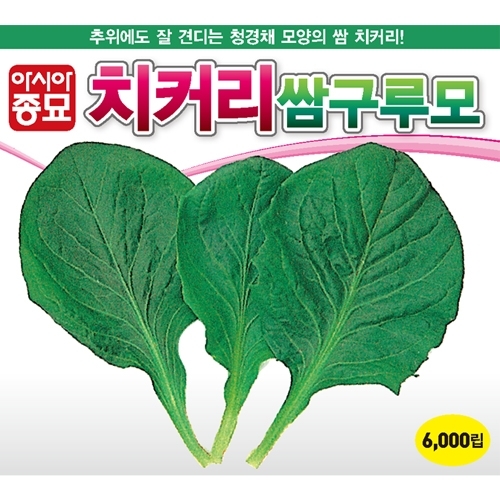 아시아종묘 치커리종자씨앗 쌈구루모 Grumoro(6000립)