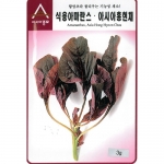 아시아종묘 아마란스씨앗종자 아시아홍현채 (3g,1kg) 가정원예용