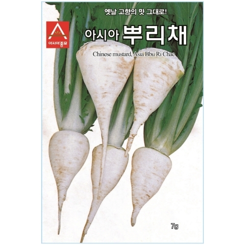 아시아종묘 민속채소씨앗종자 아시아 뿌리채 (7g)