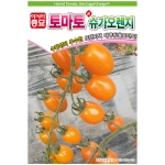 아시아종묘/토마토씨앗종자 신슈가오렌지 (20립)