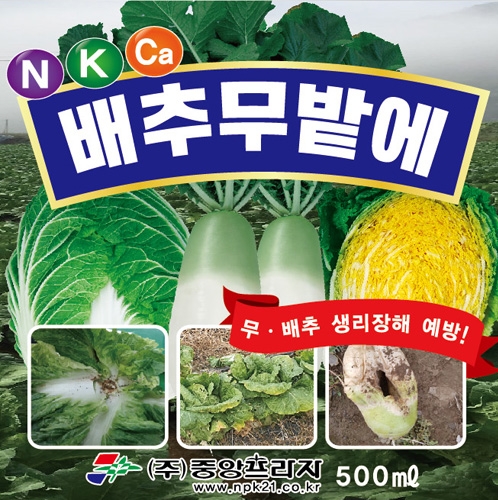 배추무밭에 500ml 배추 무 생리장해 예방 결구촉진 비대