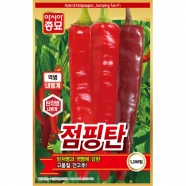 아시아종묘 씨앗 고추 점핑탄 1200립