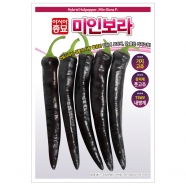 (아시아종묘/고추종자씨앗) 미인보라(10립)