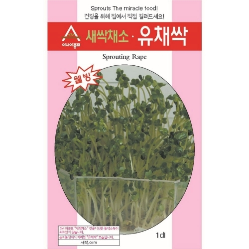 (아시아종묘/새싹씨앗종자) 유채싹(30g,1kg) 새싹채소