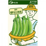 (아시아종묘/콩종자씨앗) 텐더스위트 (20g) 그린빈 완두콩