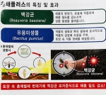 총채플러스 1kg 백강균 미생물 농작물 피해경감