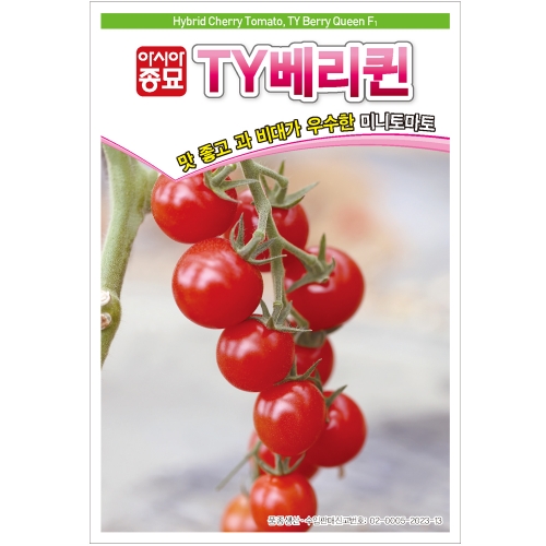 아시아종묘 토마토씨앗종자 TY베리퀸(50립) 미니토마토