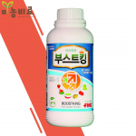FMC 부스트킹 개화전 양분흡수 구근비대 균일한 성장