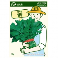 아시아종묘 무씨앗종자 채가원 열무 10g