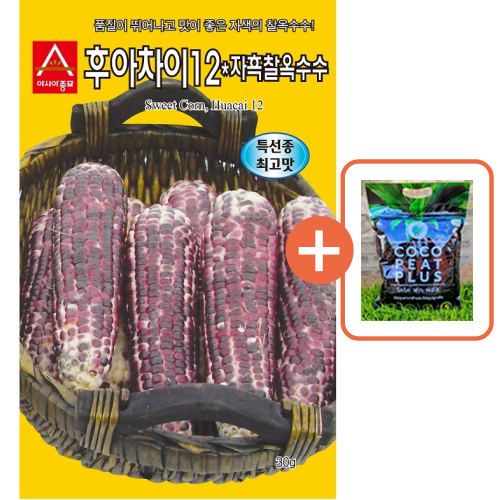 아시아종묘 씨앗 옥수수 자흑찰 30g + 코코피트 플러스 5L
