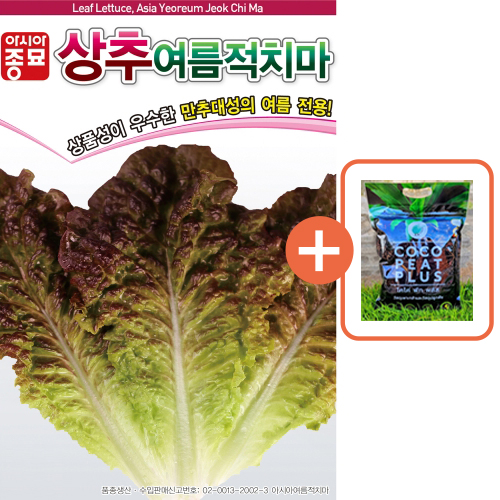 아시아종묘 씨앗 상추 여름적치마 3000립 + 코코피트 플러스 5L