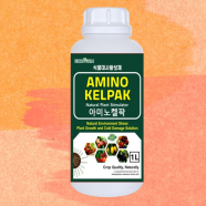 에코팜 아미노켈팍 1L 해조추출물 아미노산 식물생장조절 고온장애 냉해예방