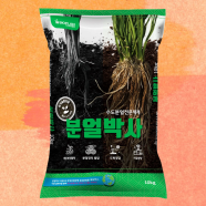 분얼박사 10kg 바이오플랜 벼 분얼수 증가 유기농자재 수확량증가 엑토신