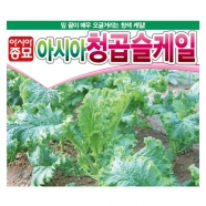 아시아종묘 씨앗 컬리케일 아시아청곱슬 10g