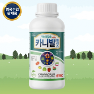 카니발 플러스 1L 영국산 기능성 칼슘제 미량요소 마그네슘 질소 붕소 아연