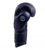 [컴뱃코너] HMIT Navy Champion Boxing Gloves