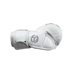 [컴뱃코너] HMIT MMA TRAINING GLOVES