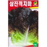 삼진 적치마 상추씨앗 4g