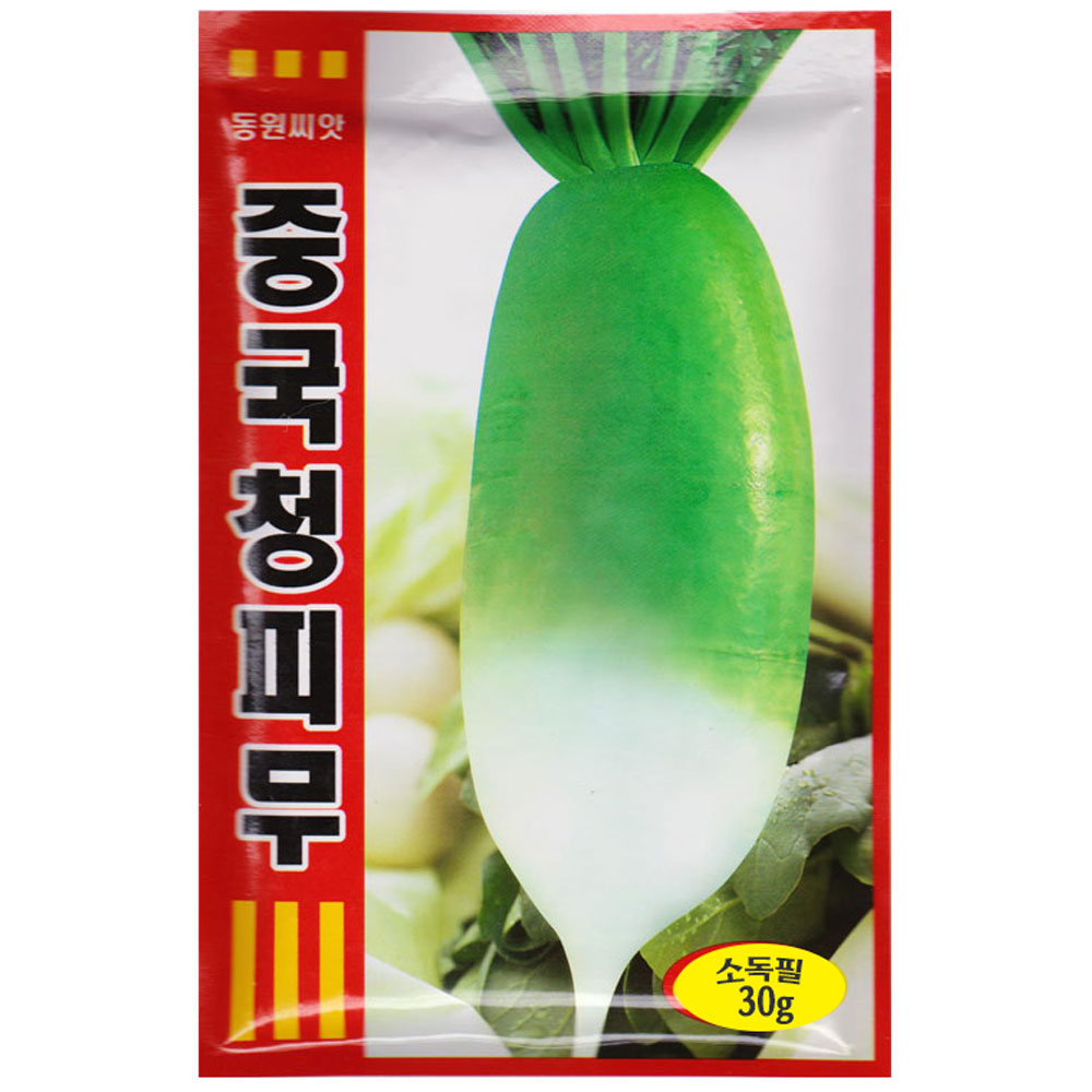 중국청피무씨앗 30g(열무재배가능)