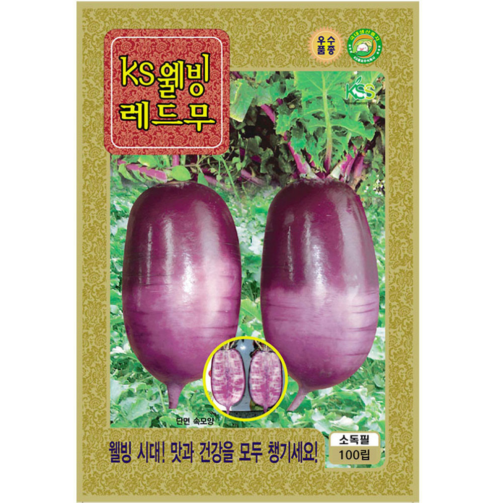 웰빙레드무 씨앗 100립 가을 김장 빨간무우 종자 키우기