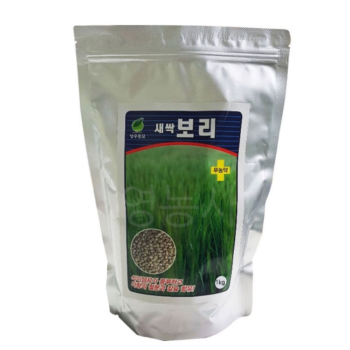 성우 새싹보리씨앗 1kg - 새싹키우기 보리씨 무농약