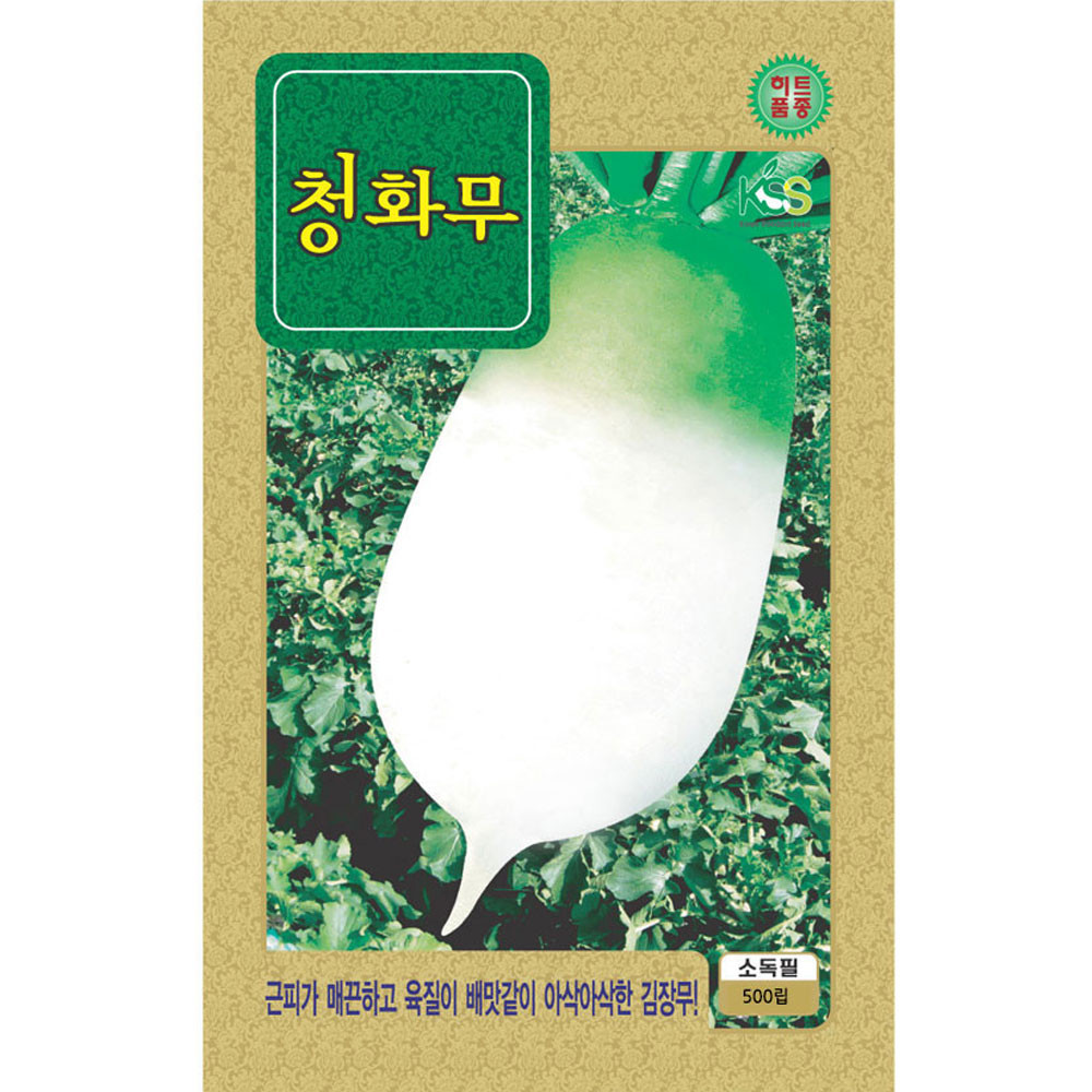 청화무 씨앗 500립 김장 가을 무우 종자 키우기