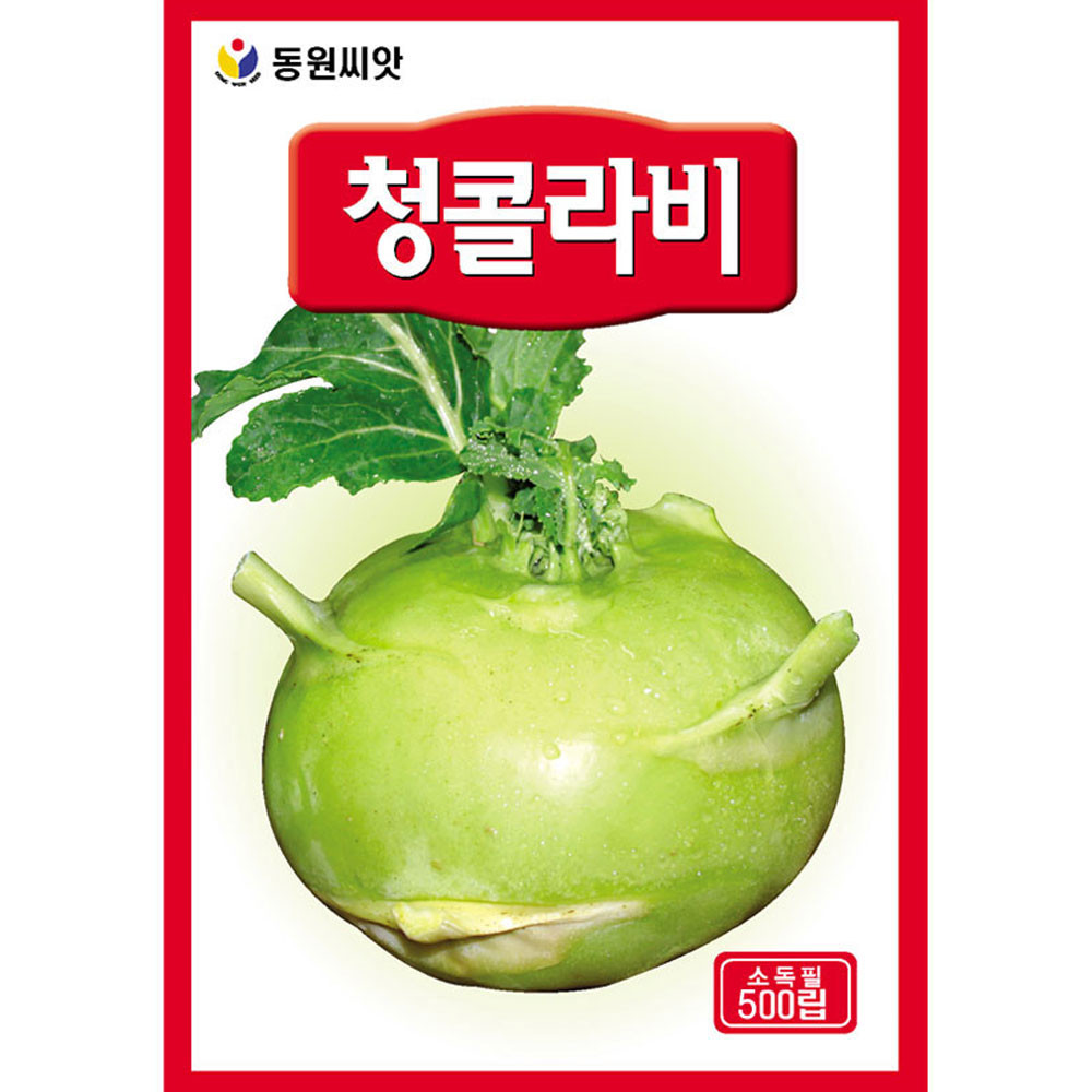 그린 콜라비 씨앗 500립 청콜라비씨