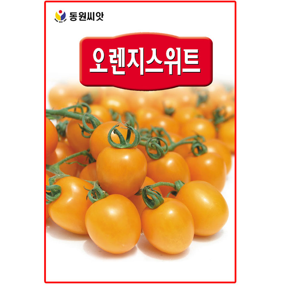 오렌지스위트 방울토마토씨앗 20립