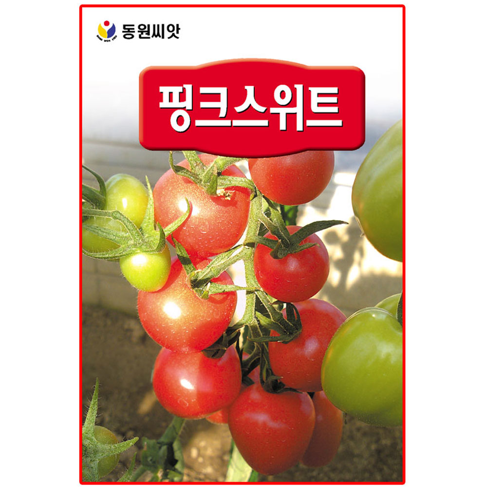 핑크스위트 방울 토마토씨앗 20립