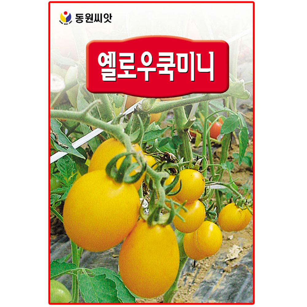 옐로우쿡 대추 방울토마토씨앗 20립