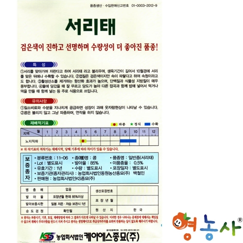 서리태 씨앗 30g 서리태콩씨 검은콩 종자