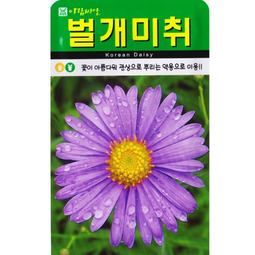 벌개미취 씨앗 500립 벌개미취씨 종자 키우기