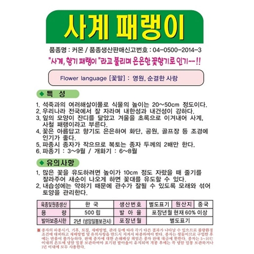 상록 패랭이 씨앗 500립 사계 패랭이씨 종자 키우기