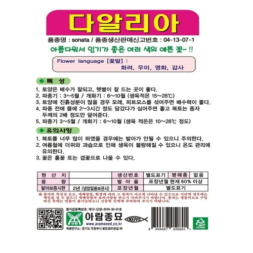 아람 다알리아 씨앗 100립 혼합종 다알리아꽃씨 종자 키우기