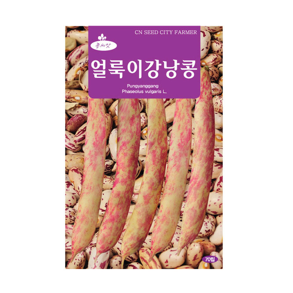 청농 얼룩이 강낭콩 씨앗 70립 비덩굴 강낭콩씨 종자 키우기