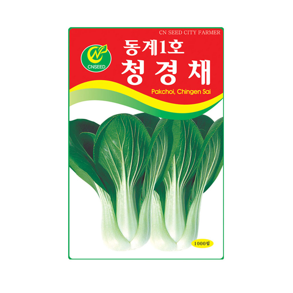 청농 청경채 씨앗 1000립 청경채씨 종자 키우기