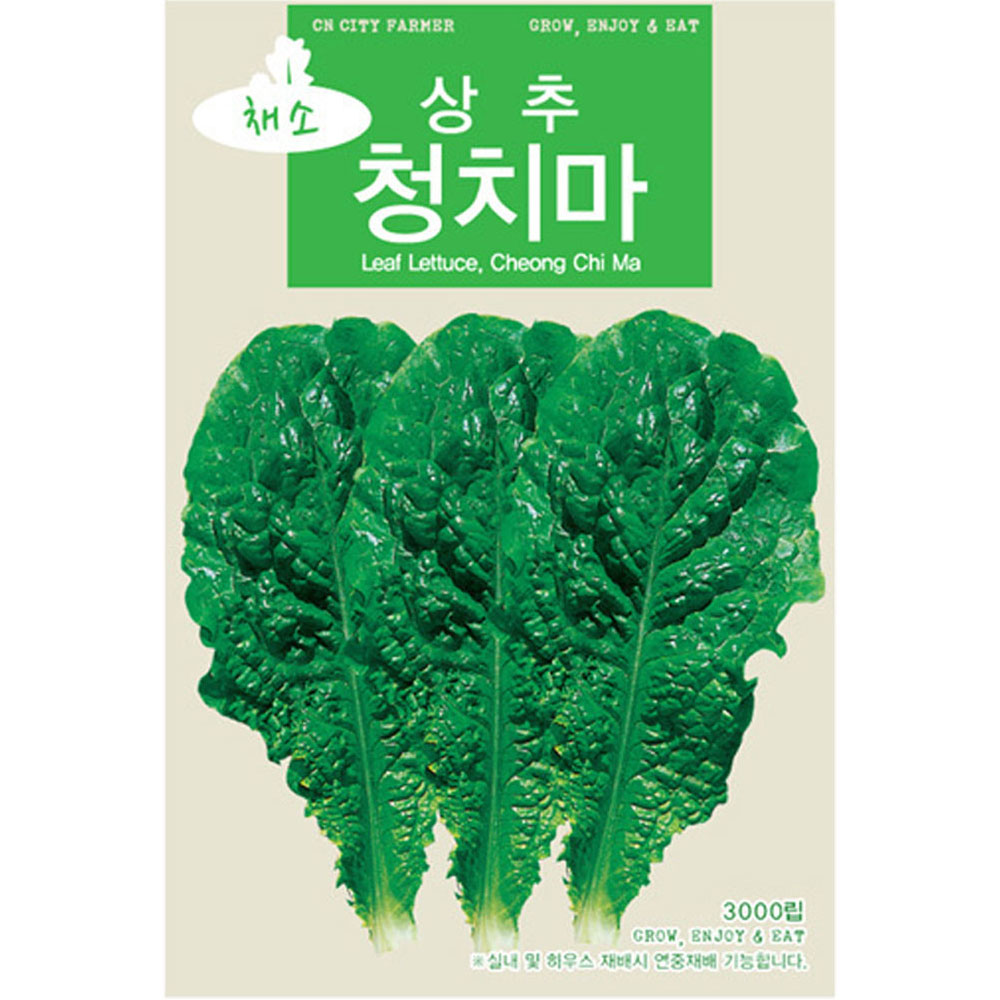 청농 청치마 상추씨앗 3000립 상추씨 종자 키우기