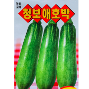 청보 애호박씨앗 15립 수량 많은 품종