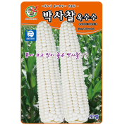 옥수수씨앗 박사찰 80립 다수확