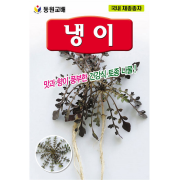 냉이씨앗 2g 토종 나물 종자 두해살이 봄나물 냉이씨